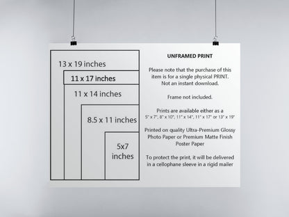 Tamedia Studio poster print size chart